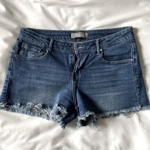 Black Label Medium Wash Denim Shorts